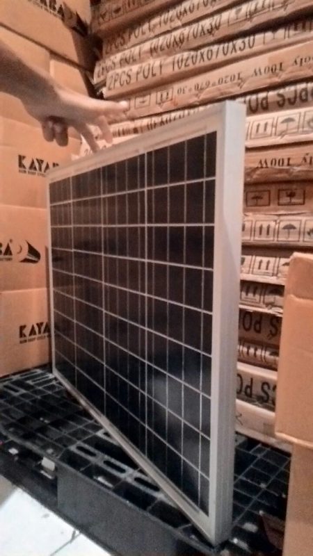 harga panel surya 50 wp poly