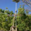 Paket Lampu PJU Solar Cell 60 Watt