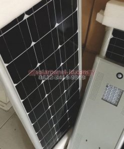 PJU Solar Cell All in One 100 Watt