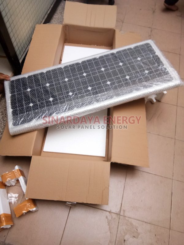 PJU Solar Cell All in One 40 Watt