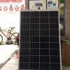 harga panel surya 100wp poly