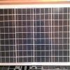 jual panel surya 50wp poly