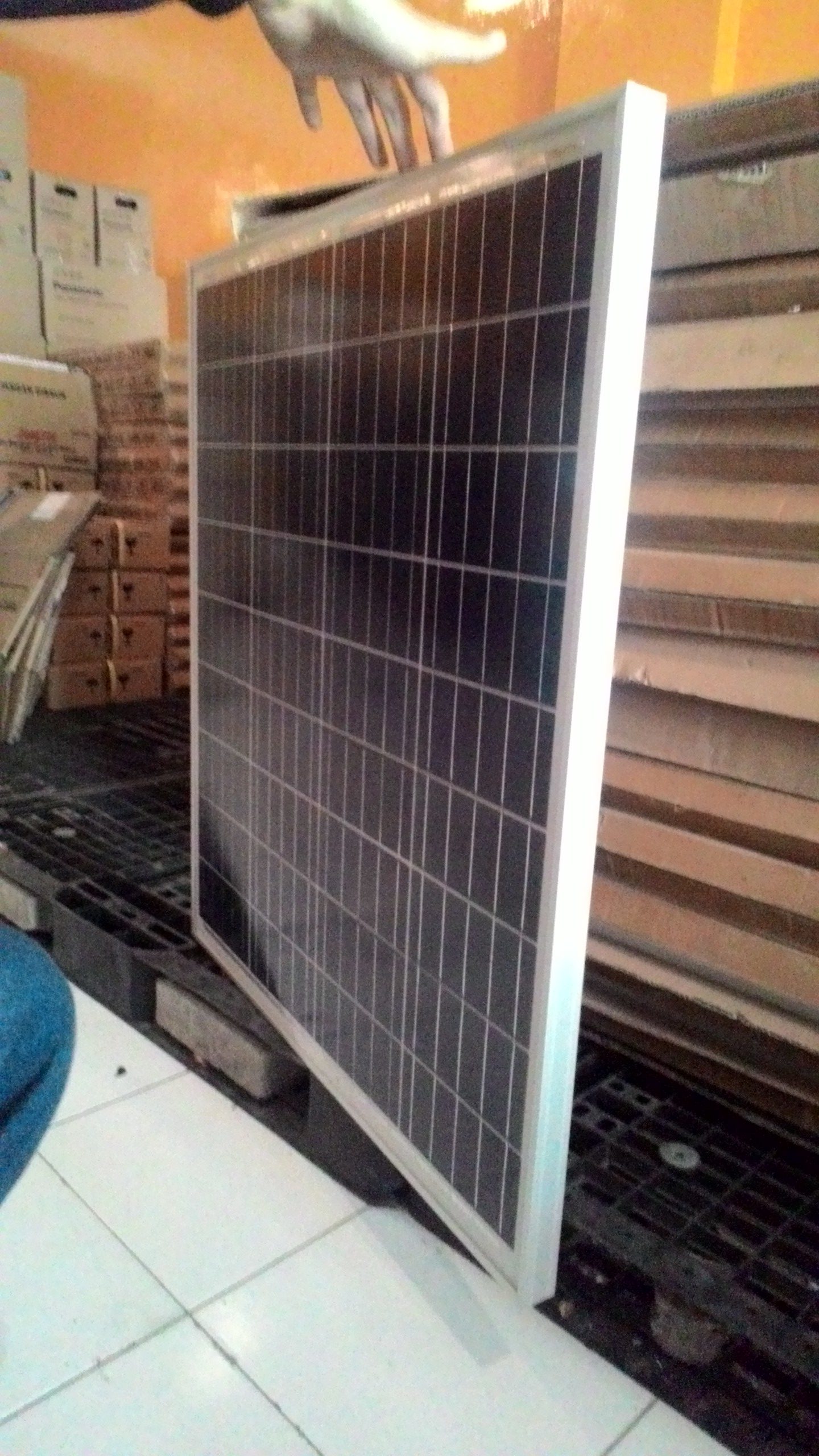 jual solarcell surya 80wp poly jual solarcell surya 80wp poly