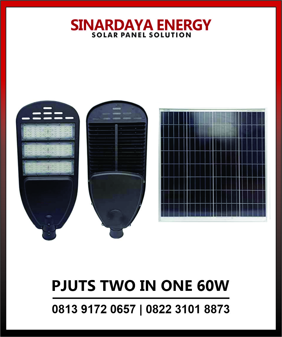 Lampu PJU 2in1 60 watt
