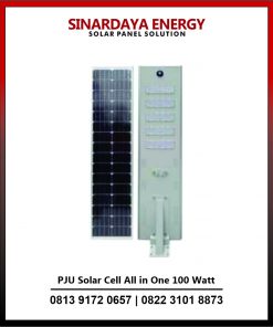 PJU Solar Cell All in One 100 Watt