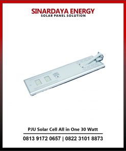 PJU Solar Cell All in One 30 Watt