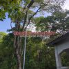 lampu jalan tenaga surya terbaik