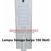 Lampu Tenaga Surya AIO 100 Watt Silver100