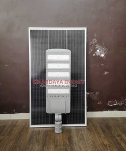 PJU Tenaga Surya 100 Watt